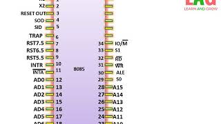 8085 pin diagram