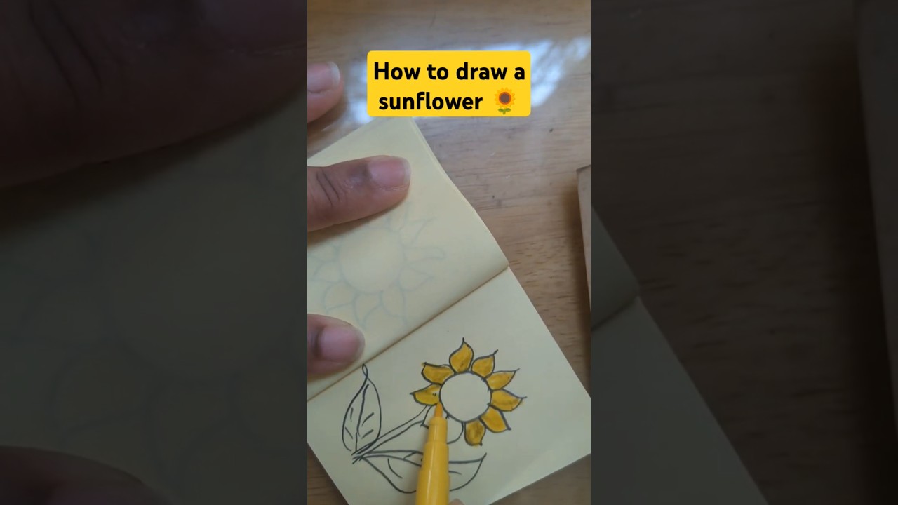 How to draw a sunflower 