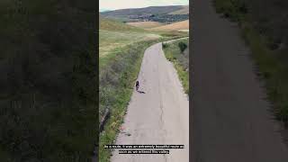 Download Lagu Short 6 : 🚴 Meet Lydia Borg, Our Dedicated Advocate! 🚴 MP3