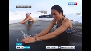 Моржи Сургута на Вести Югория