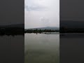 pelícanos #nature #naturaleza #laguna#xochimilco