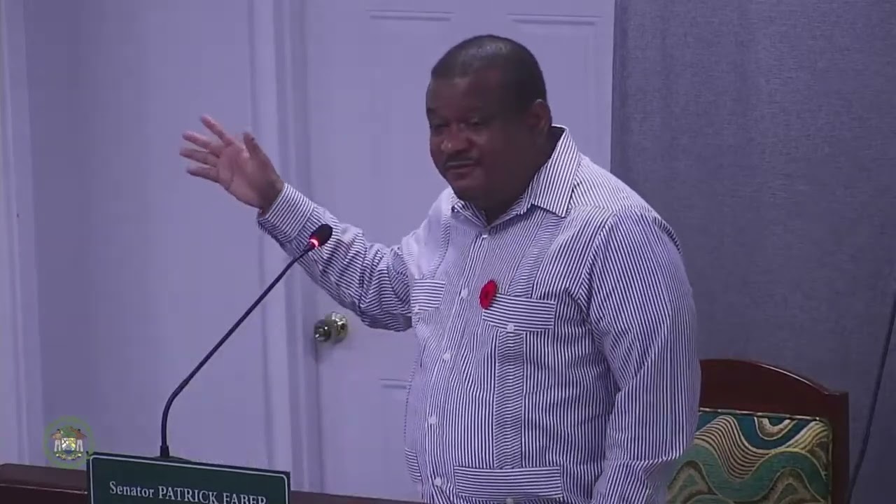 Senate debates Safe Third Country pact; government cites 10-per-year cap | PT 2