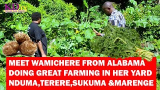 AMAZING LADY  IN ALABAMA WHO SUPPLIES NDUMA ,MARENGE SUKUMA WIKI &amp; OTHER PRODUCE FROM HER FARM