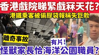 香港戲院睇緊戲突冧天花?有片!怪獸家長恰海洋公園職惹眾怒?15-6-2026