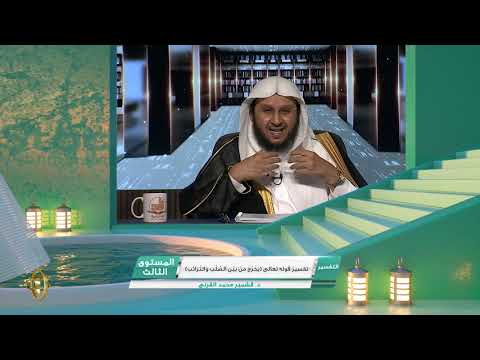 تفسير قوله تعالى يخرج من بين الصلب والترائب  من محاضرات التفسير  المستوى الثالث  2