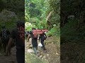 Ngapak story tentang hidup simple #shortsviral #ngapakstory
