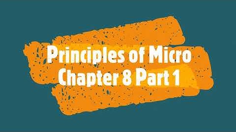 Principles of Micro - Chapter 8 Part 1