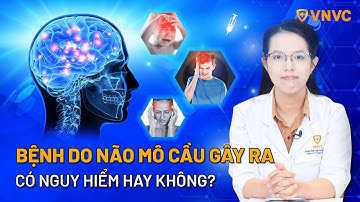 Bệnh do não mô cầu gây ra nguy hiểm như thế nào? | VNVC