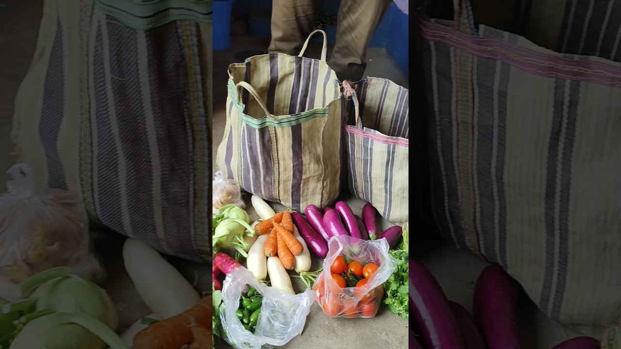 বাজার থেকে এত সবজি নিয়ে এসেছে!😊 