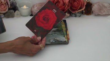 Messages From The Spirits Of Nature Oracle~Flip Through HD & Mini Reading