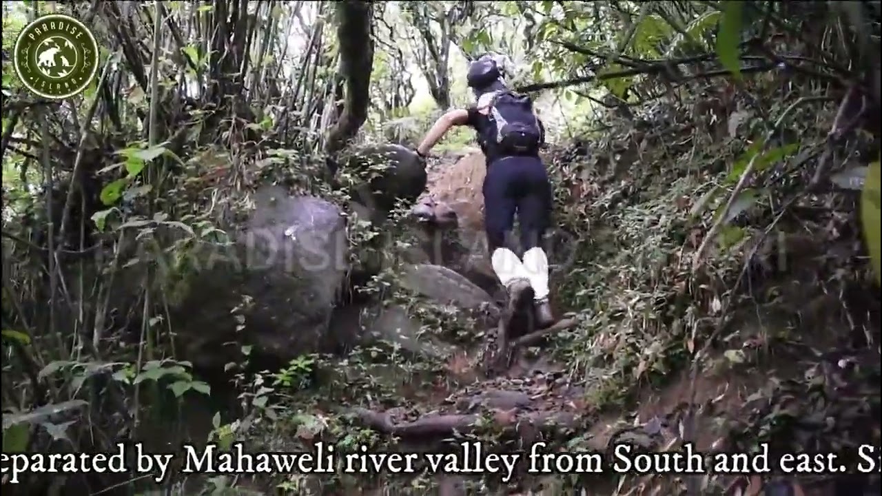 Adventure hike to scenic Knuckles Peak in Knuckles Mountain Range