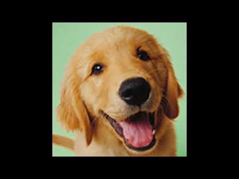 Video All Windows User Account Pictures Download Free from... - youtube