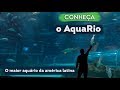 Conheça o AquaRio - O Maior Aquário da America do Sul