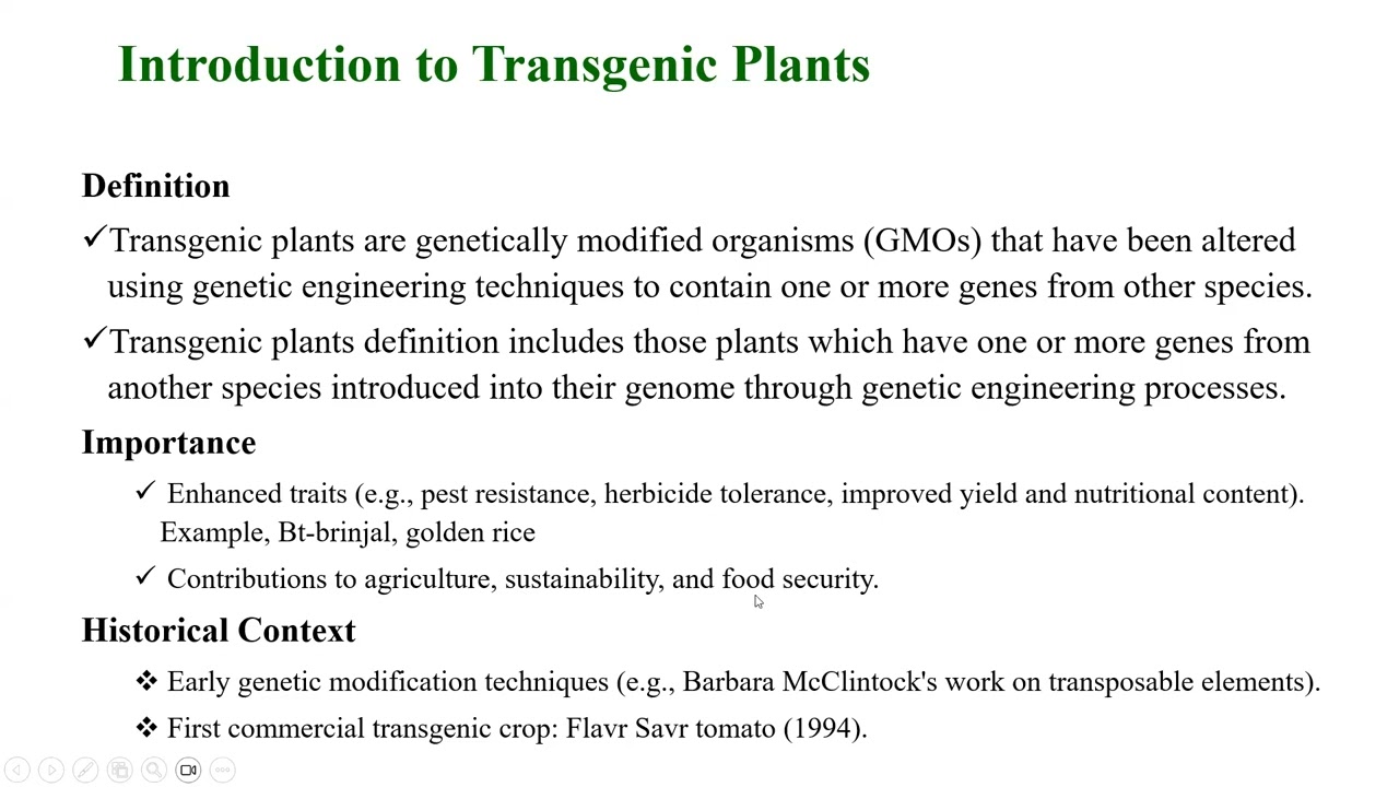 Transgenic and GMO