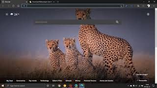 Two New Features Coming To Microsoft Edge