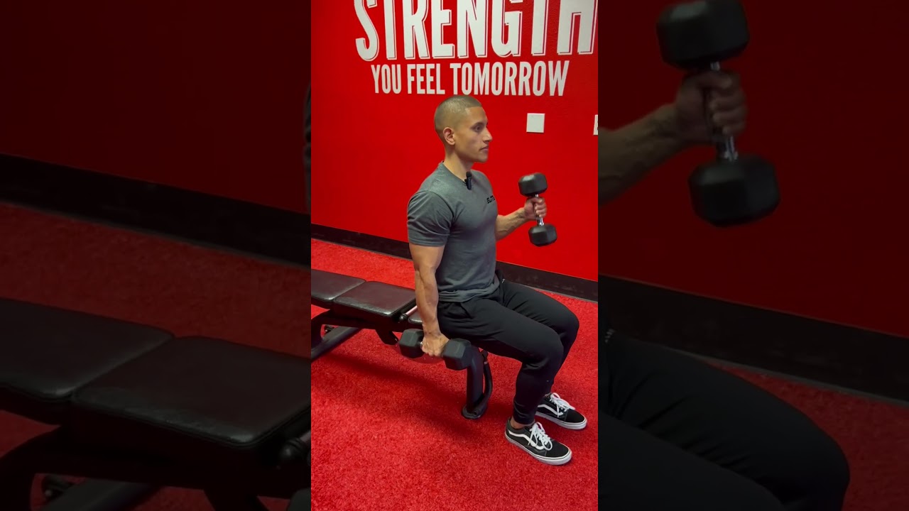 How to do Seated Alternating Hammer Curls!