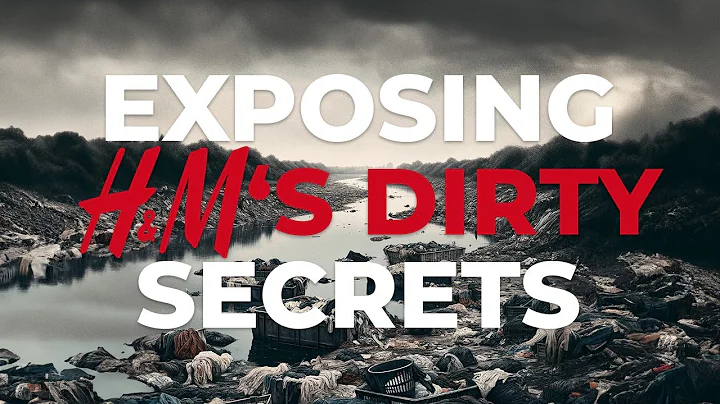 Greenwashing: The H&M Story