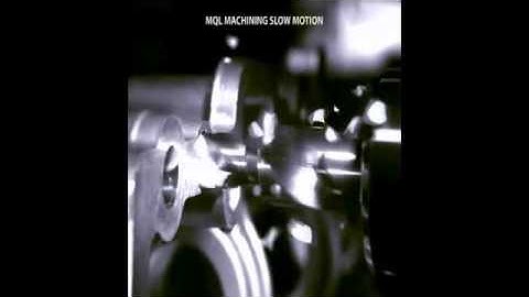 MQL Video English.mp4