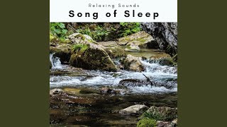 Algorithmic Rest Journey with Hyper Calm Tunes