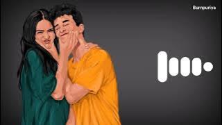 Señorita Remix Ringtone | English Ringtone | Attitude Ringtone | BGM Ringtone | Remix Ringtone 2021