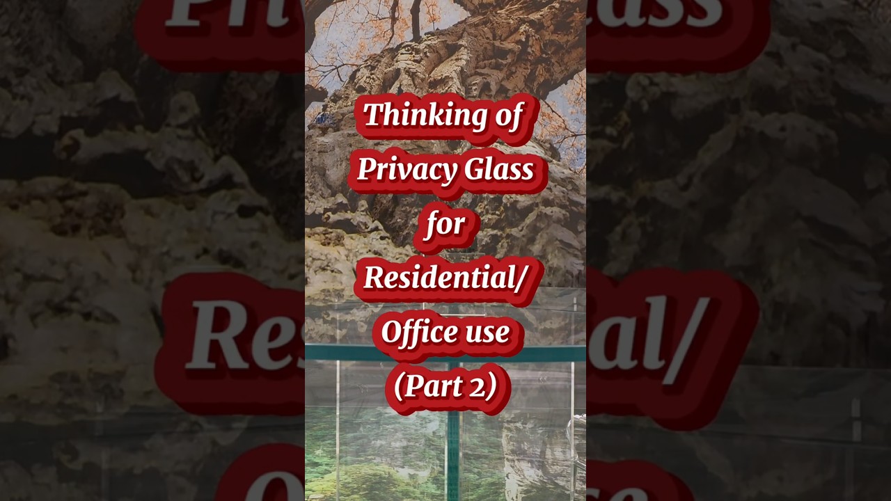 Some stylish privacy glass ? 