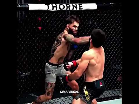 Powerful punch | UFC | subscribe for more #ufc #mma #shorts #status #boxing #fight