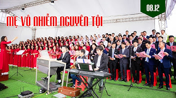 Mẹ Vô Nhiễm Nguyên Tội - Đại lễ Đức Maria Vô Nhiễm Nguyên Tội