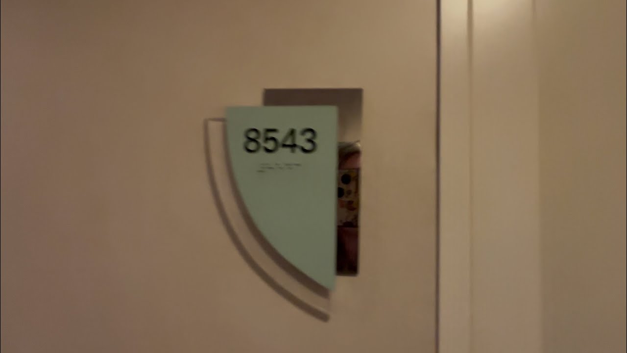 Vision Of The Sea’s - Cabin Tour 8543 Spacious Oceanview with pullout bed setup options