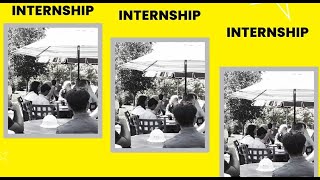 Intern Spotlight 2024