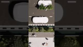 Twinmotion Animation (loop) #Twinmotion #animation  @twinmotion