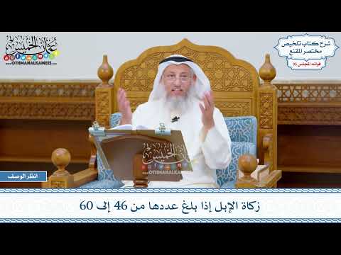 1830 - زكاة الإبل إذا بلغ عددها من 46 إلى 60 - عثمان الخميس