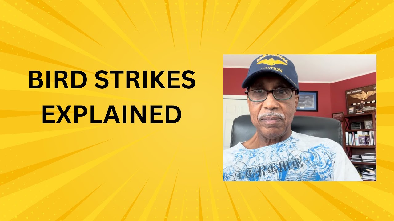 What Happens When Birds Hit Planes?