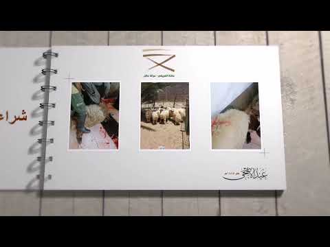 تقرير مشروع الأضاحي عام 1445هـ