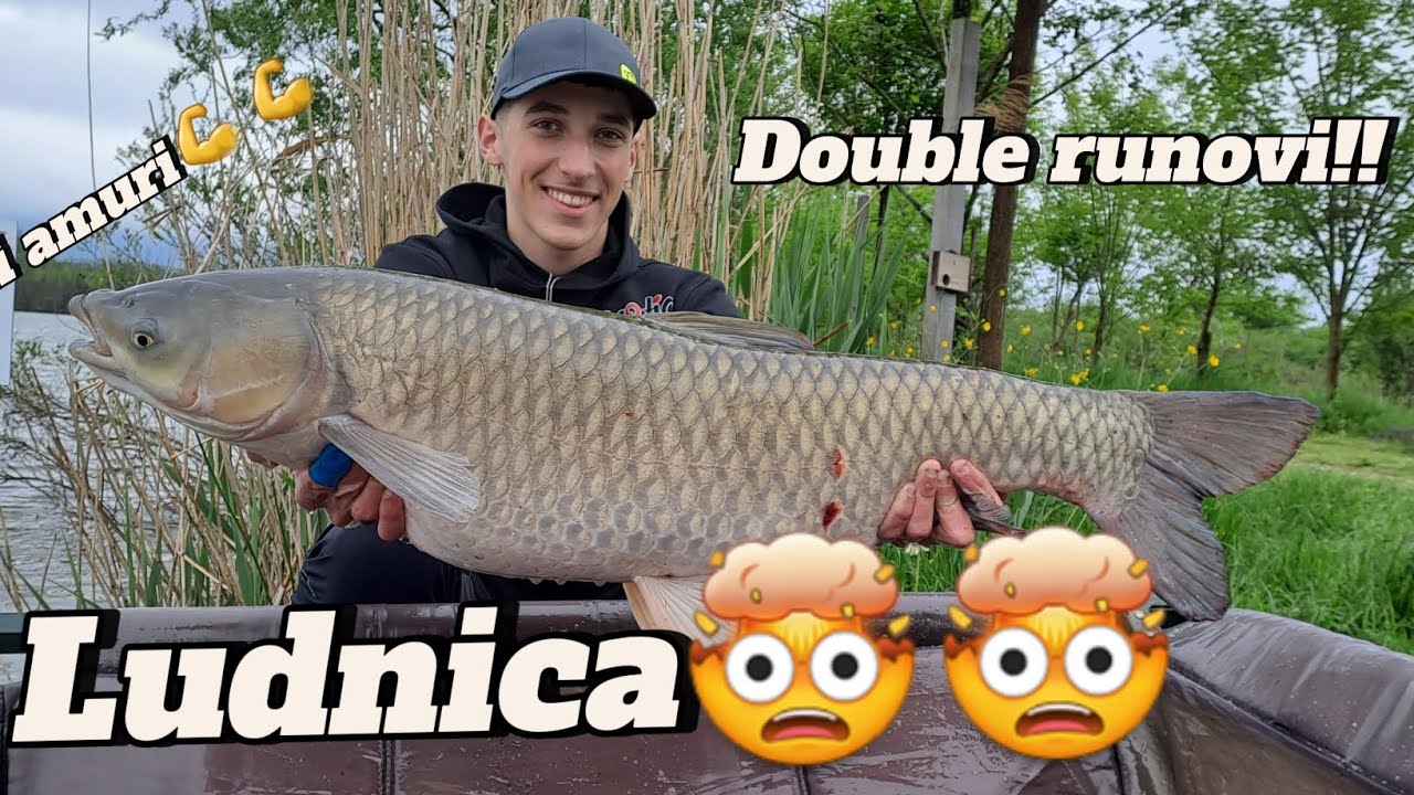 LUDNICA NA NOVAKIMA!!!/ŠARANSKI RIBOLOV/JEZERO BR. 3 NOVAKI