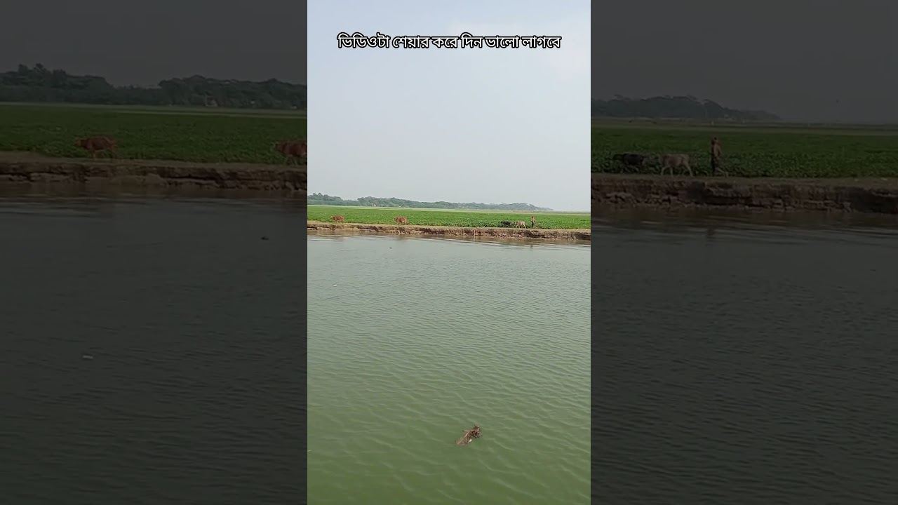 নদীর পাড়ের এমন ভিডিও সবার মোন কেড়েছে 😱