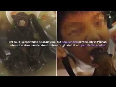 eating-bat-soup-blamed-coronavirus-outbreak-|-wuhan-city-china