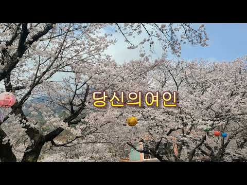 당신의여인가수 유나영