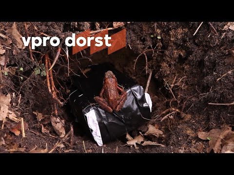 Bewaren tot 2045: onder de grond