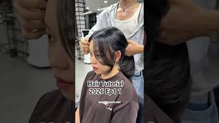 Famous Hair Tutorial 2026 EP 11 #beautysalon #beautytips Profile