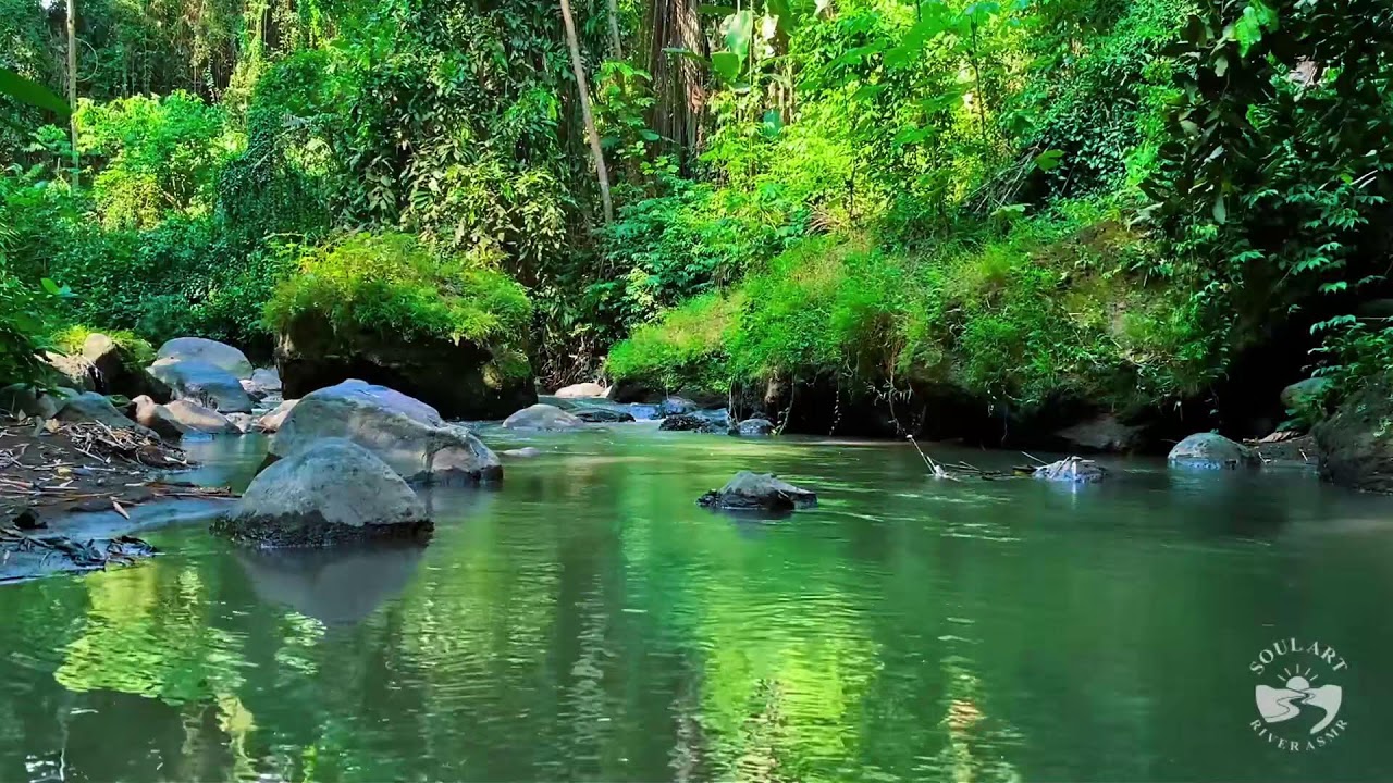 River Sounds for Deep Night Sleep | Calm Flowing Water Stream Nature Ambience