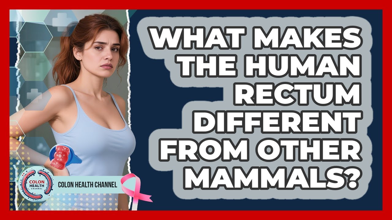 What Makes The Human Rectum Different From Other Mammals? - Colon Health Channel