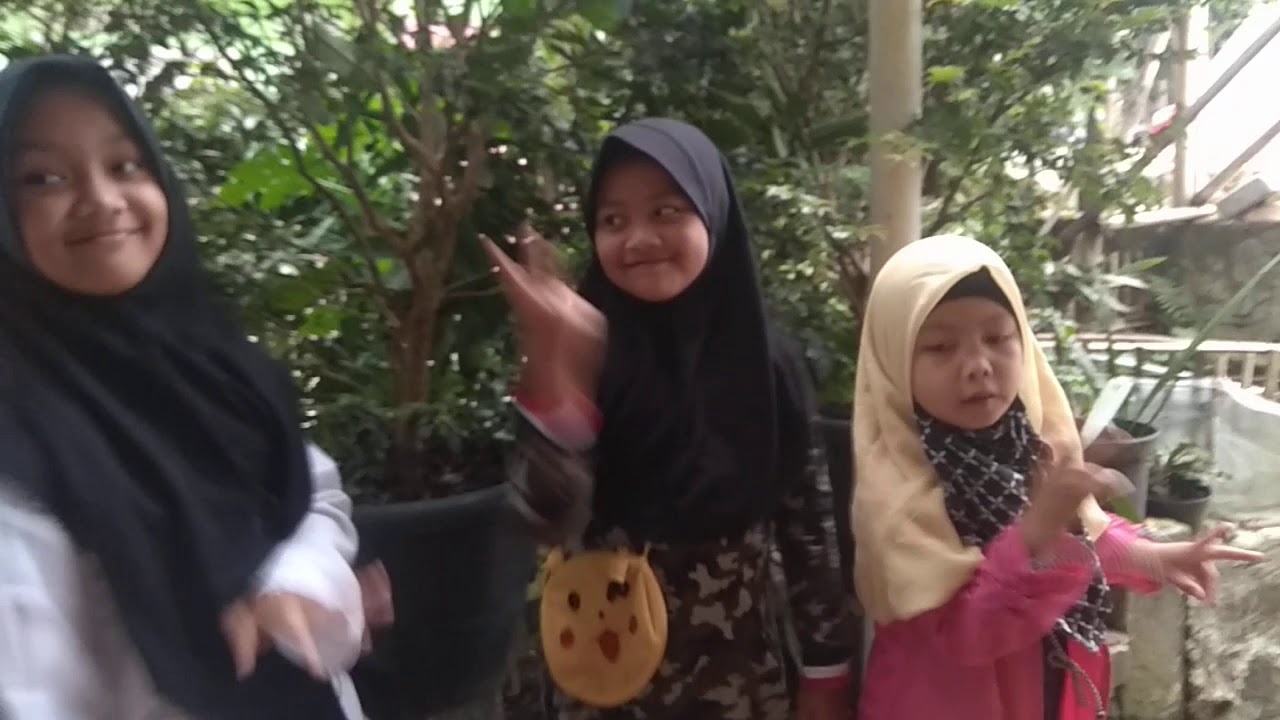 Rani amara dan mawar lagi bermain tik tok - YouTube