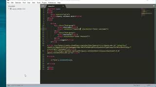 Jquery validate mini. base js validation customize and use very easy
