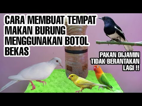 CARA MEMBUAT TEMPAT MAKAN BURUNG MENGGUNAKAN BOTOL BEKAS | MAKANAN