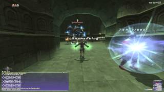 FFXI - Voidwrought (Windurst Voidwatch T4)