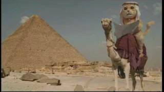 【萬寧貓咪故事 mannings Meow Story 上集】[HD] (2012)