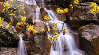 Illuminating Lessons Managing Vibrational Differences Within And without Belinda Womack