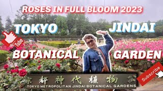 Tokyo Jindai Botanical Garden 神代植物公園/ Roses Full Bloom 2023