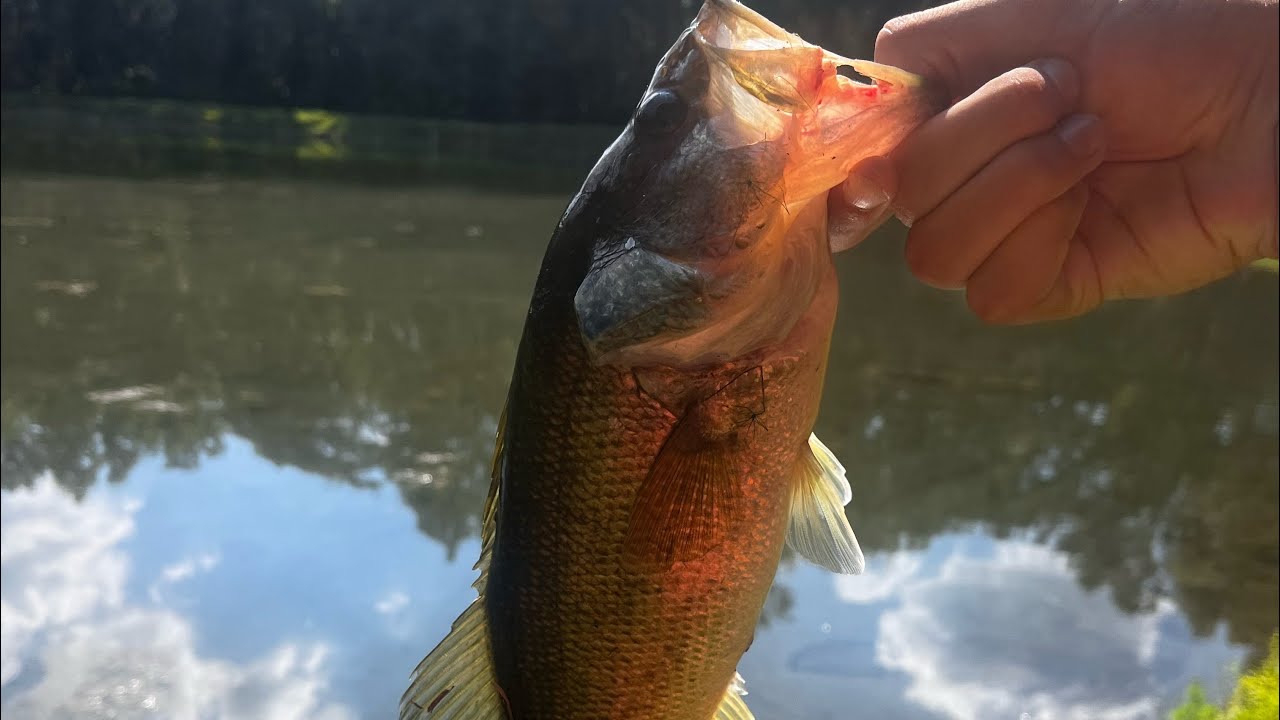 Fishing a Pond for BIG BASS!