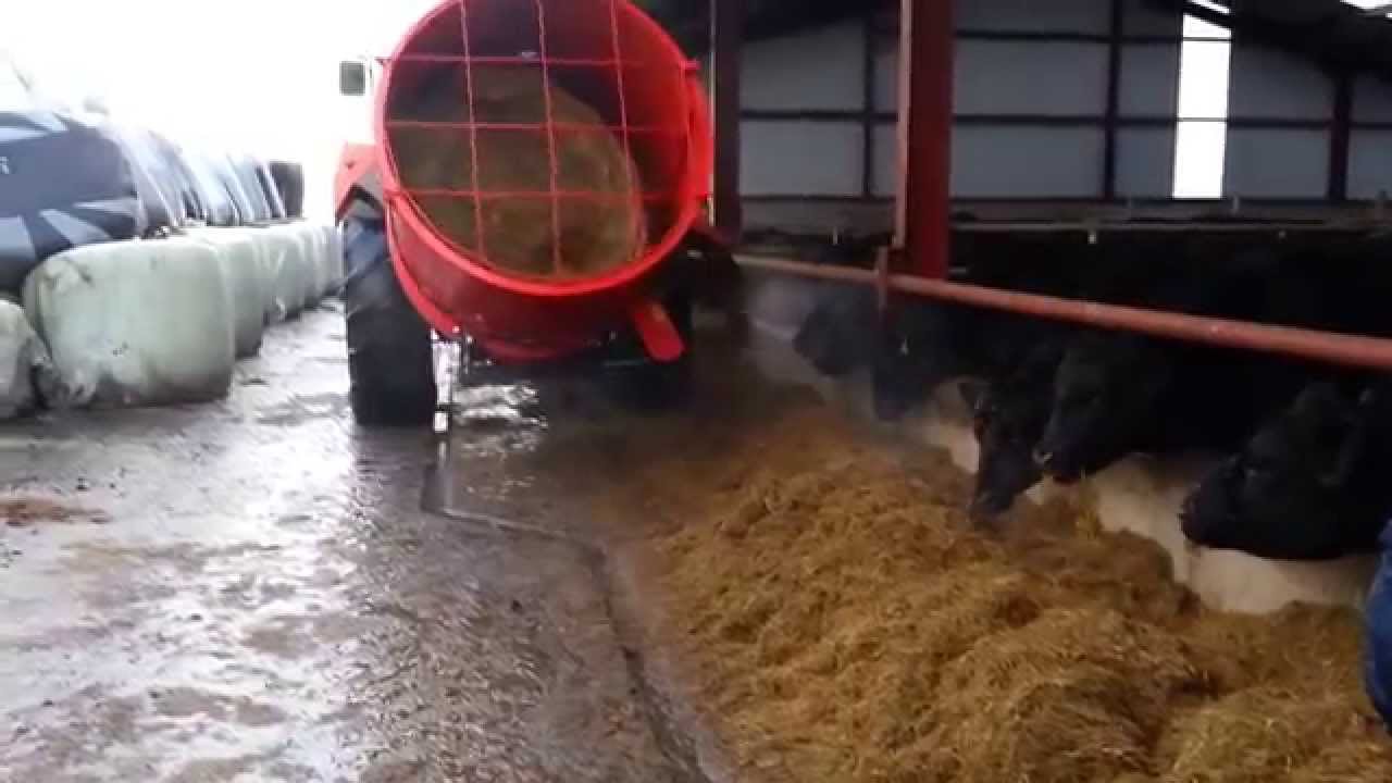 Blaney Bale Feeder Nov 14 Youtube